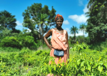 seminario azione terrae acra